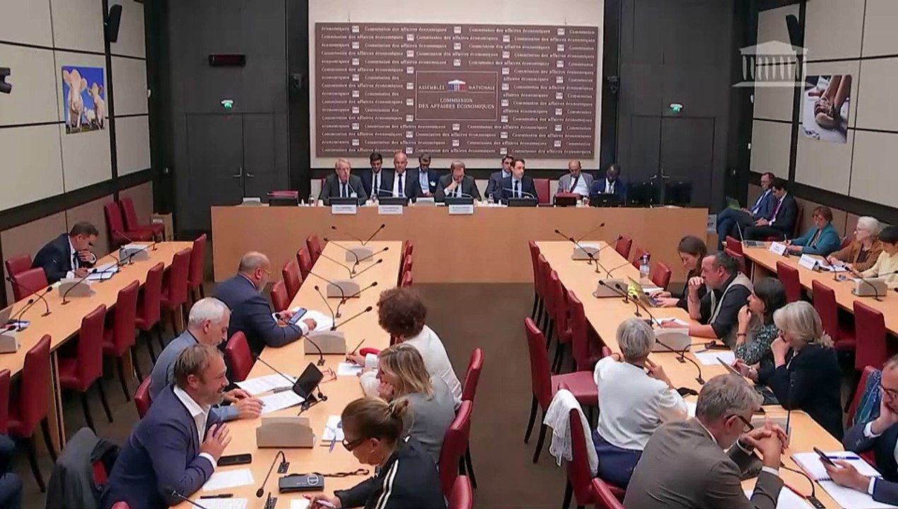 Commission des affaires économiques : M. Arnaud Rousseau, président de la Fédération Nationale des Syndicats d’Exploitants Agricoles (FNSEA), sur la situation et les attentes du monde agricole - Mercredi 18 septembre 2024