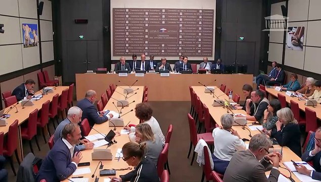 Commission des affaires économiques : M. Arnaud Rousseau, président de la Fédération Nationale des Syndicats d’Exploitants Agricoles (FNSEA), sur la situation et les attentes du monde agricole - Mercredi 18 septembre 2024