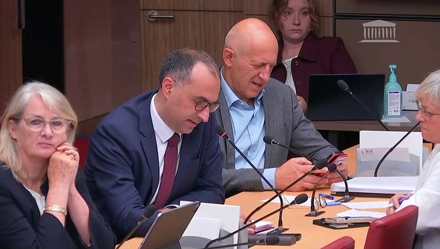 Commission des affaires économiques : M. Florent Menegaux, président-directeur général de Michelin, sur la politique salariale, la productivité et la compétitivité en entreprise - Mercredi 18 septembre 2024