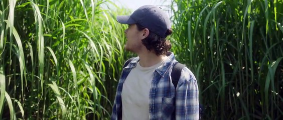 In The Tall Grass Horror Thirller Movie.2019