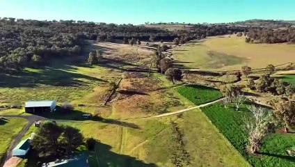 Jemalong, Coolah, NSW | September 19, 2024 | Farmonline