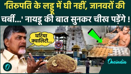 CM Chandra Babu Naidu बोले- तिरुपति मंदिर के लड्डू में जानवरों की चर्बी का हुआ इस्तेमाल | वनइंडिया