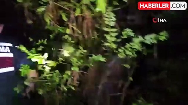 Kastamonu'da Ormanda Kaybolan İki Genç İçin Arama Çalışması Başlatıldı