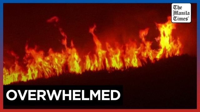 Hectares of forest and scrubland consumed by wildfires in Portugal