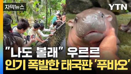 [자막뉴스] 손으로 만지자 입을 '떡'...태국 홀린 '국민 귀염둥이' / YTN