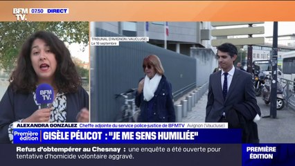 Procès des viols de Mazan: Gisèle Pelicot face aux questions virulentes des avocats de la défense