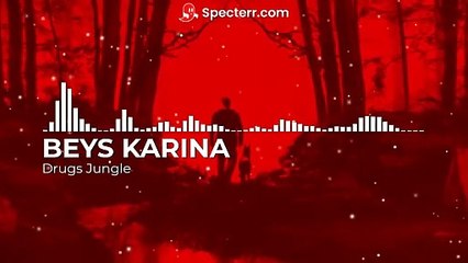 BEYS KARINA - Drugs Jungle (Official Audio)