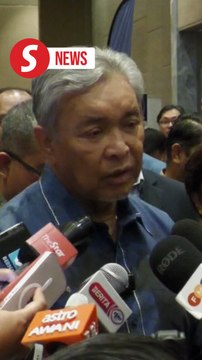 Govt to explore long-term tree care solutions, says Zahid