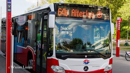 Wiener Linien feiern millionste Jahreskarte