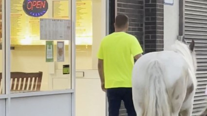 Horse joins man at café after staff gives permission for special day out