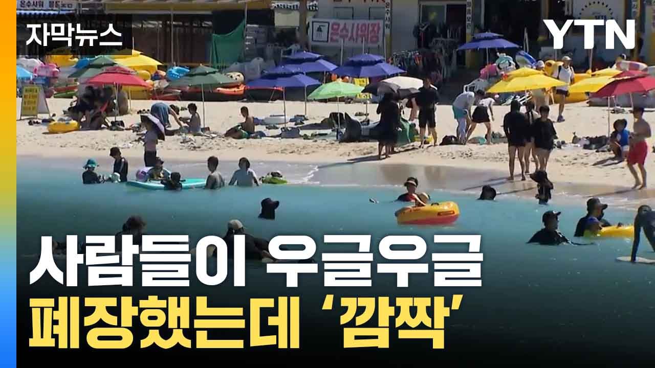 [자막뉴스] 이례적 폭염 덮치더니...제주에 나타난 기현상 / YTN