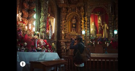 El ladron de perros (Ladro di cani) (Trailer Ufficiale HD) ⭐️⭐️⭐️