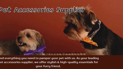 Pet Accessories Supplier