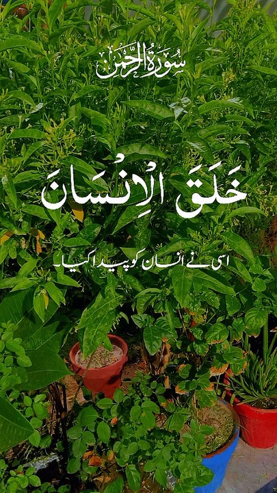 Surah Rehman