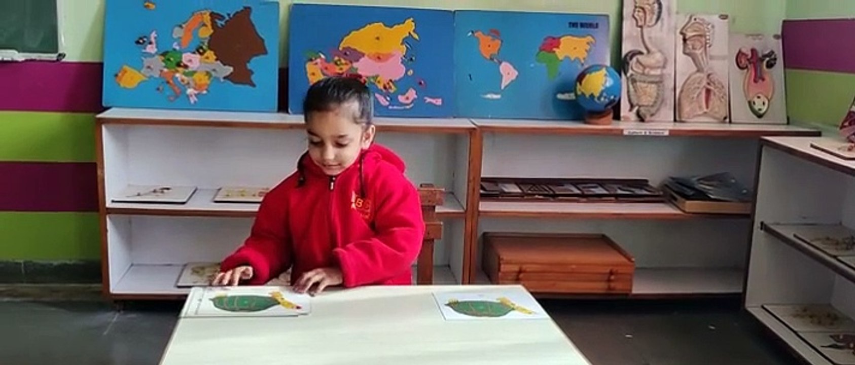 Early Childhood Education BIPS Montessori Student Explains Parts of a Tortoise | Contact 18001376668