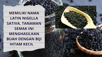Sebaiknya Kamu Juga Perlu Tahu Efek Samping dari Habbatussauda jangan sampai menyesal nantinya