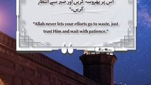 Best Quotes #shorts #shortvideo #shortsfeed #short #shortsviral #quran #viralvideo #quran #quotes