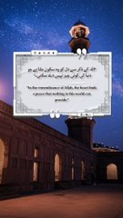 Best Quotes #shorts #shortvideo #shortsfeed #short #shortsviral #quran #viralvideo #quran #quotes