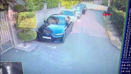 Tasmasız kangal dehşet saçtı! Bir köpek öldü sahibi kalp krizi geçirdi