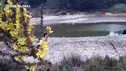 Bolulu vatandaşlar tedirgin: "Köylerimiz, hayvanlarımız susuz kalacak"