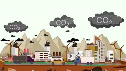 Dua Strategi Pertamina untuk Dukung Target Net Zero Emission Indonesia