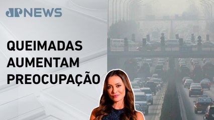 Como devemos lidar com a poluição do ar? Patrícia Costa explica
