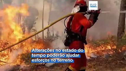 Dominado o "complexo" de fogos no distrito de Aveiro