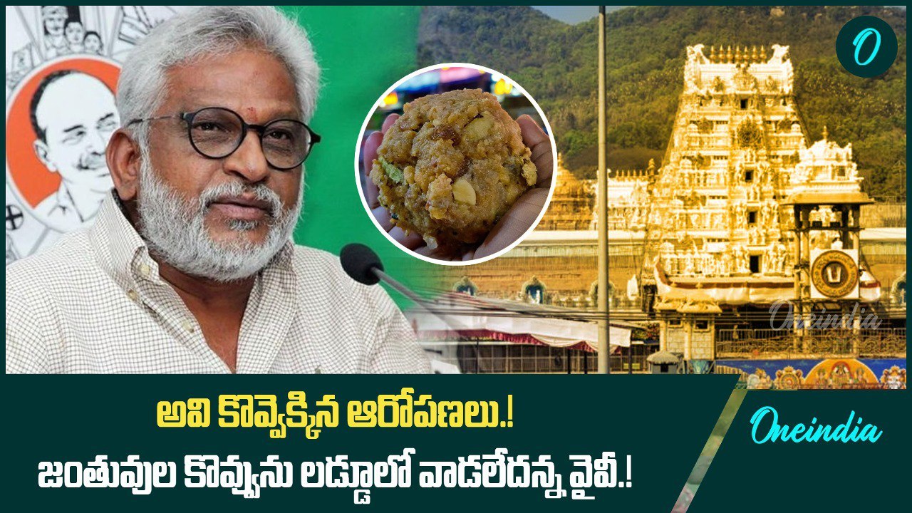 అవి కొవ్వెక్కిన ఆరోపణలు.! జంతువుల కొవ్వును లడ్డూలో వాడలేదన్న వైవీ ...