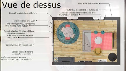 3 projets de salon salle à manger de 20m2 avec une cheminée