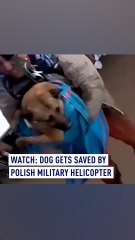 Watch: Dog gets saved by Polish military helicopter