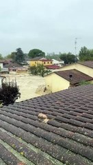 Anche la Bassa Romagna flagellata di nuovo dal maltempo