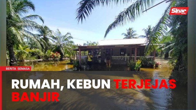 Air pasang besar: Rumah, kebun terjejas banjir