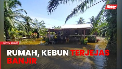 Air pasang besar: Rumah, kebun terjejas banjir