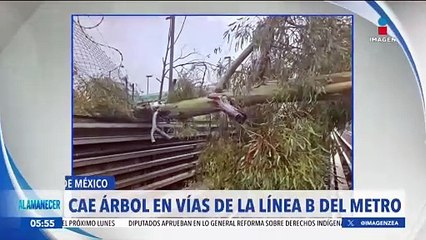 La Línea B del Metro CDMX opera de manera provisional debido a la caída de dos árboles