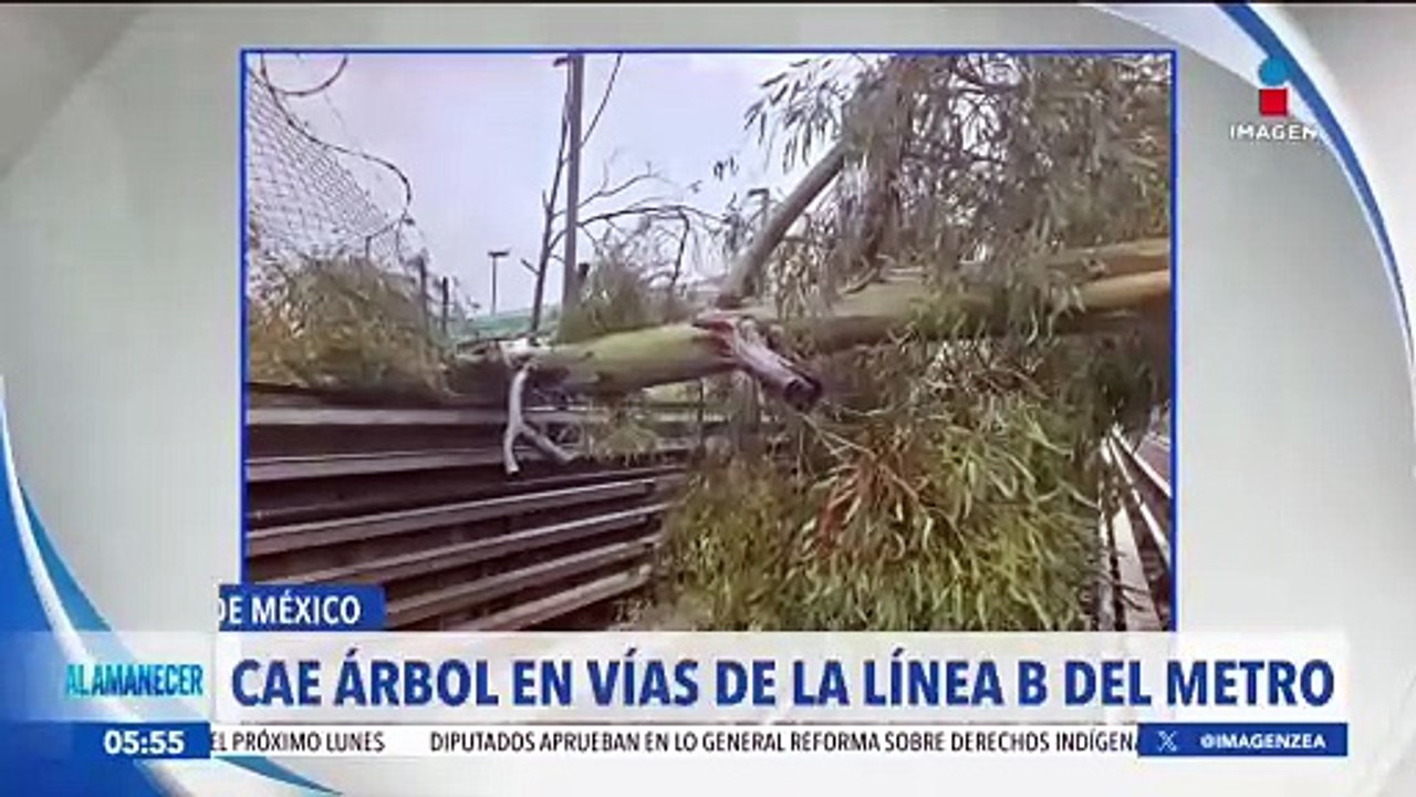 La Línea B del Metro CDMX opera de manera provisional debido a la caída de dos árboles