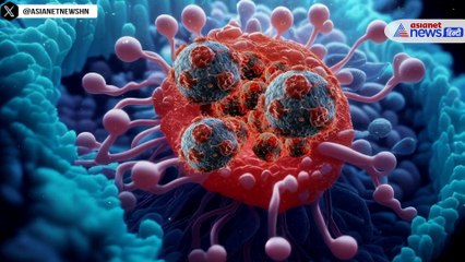 कार से हो सकता हैं कैंसर! 99% गाड़ियों में है खतरा