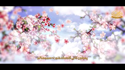 Biwi ko satate ho Tumhe sharam nahi aati | Biwi Ki Shan