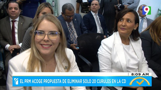 El PRM acoge propuestas de eliminar solo 20 curules en la cámara de diputados | El Despertador