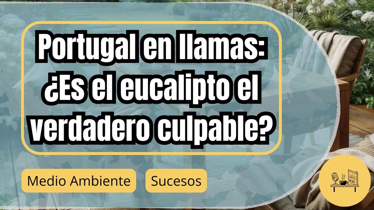 Portugal y el desastre del eucalipto: Cómo los incendios revelan un problema mayor