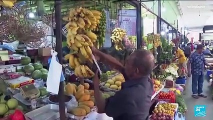 Sri Lanka to vote in first poll since economic collapse