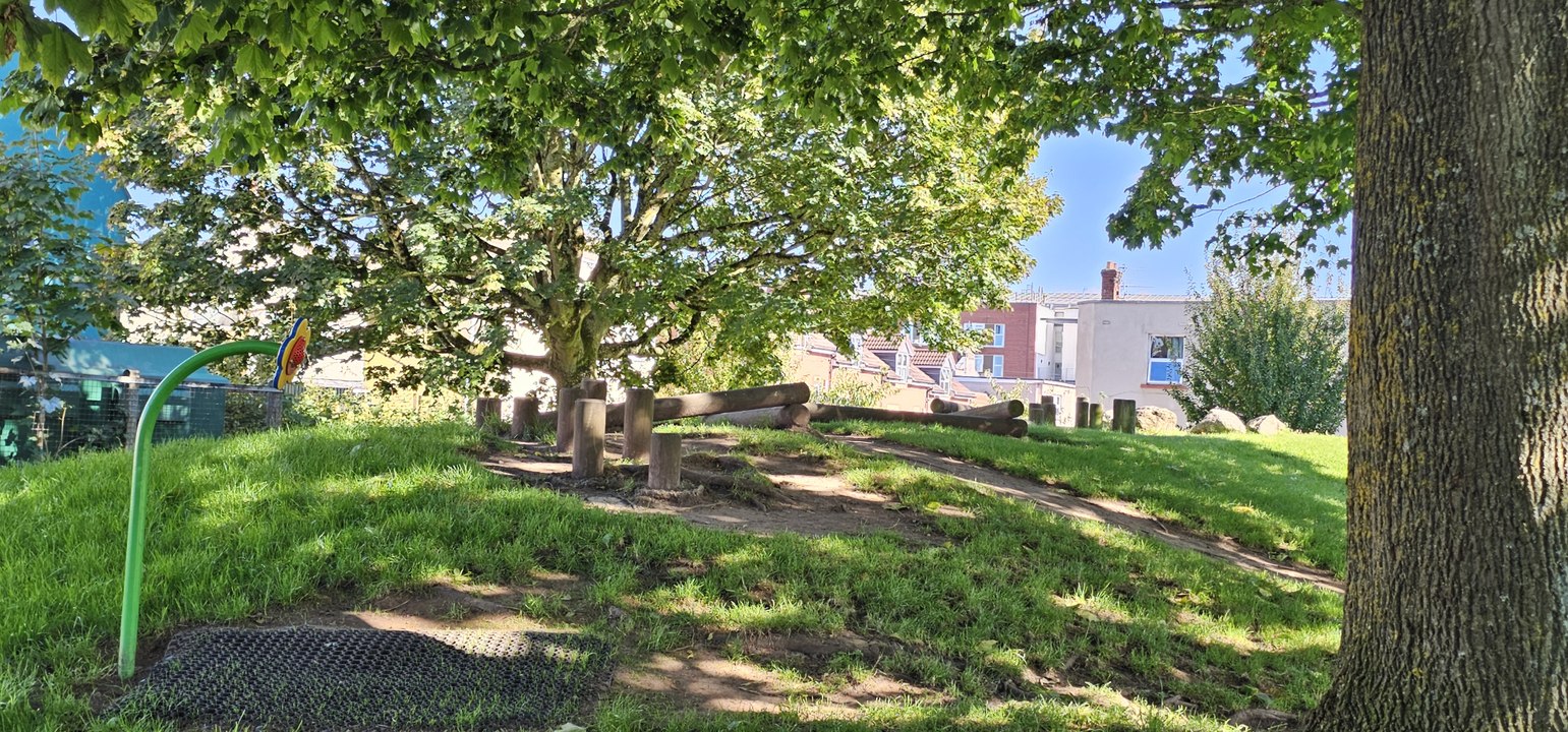 South Street Park: We visit the cosy city park with a wellbeing café and a dog park