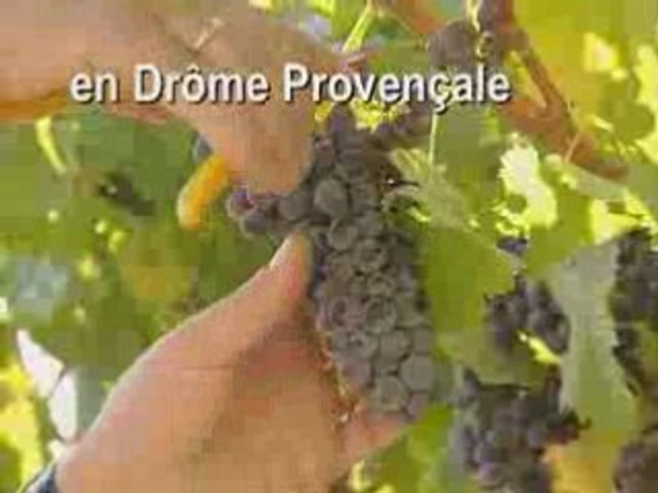 La Drôme en vidéo - Vinsobres 1er cru Côtes du Rhone