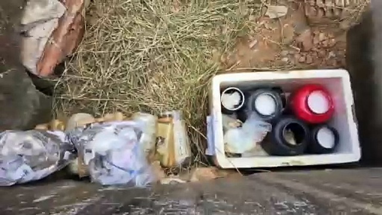 Polícia Civil incinera mais de 76 Quilos de Drogas em Palmeira dos Índios
