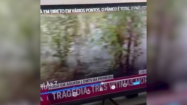 Portugal arde en sus peores incendios y lo que hace un hombre en la cara de los bomberos calienta al país: Es problema de Portugal son los portugueses