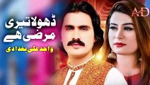 Sade Naal Karen Hera Pheri _ Wajid Ali Baghdadi _ New Saraiki Song 2024