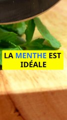 Infusion à la menthe : Digestion apaisée en 60s !