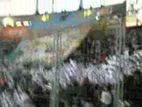 TFC-Bordeaux : Entrée des joueurs