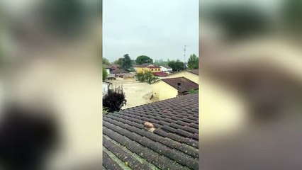 Download Video: Sul tetto in attesa di essere salvati dall'elicottero. Il video girato da un cittadino di Traversara: «Qui è un disastro»