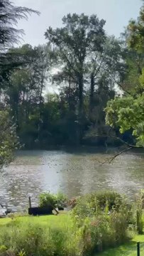 La chasse aux canards fait beaucoup de dégâts