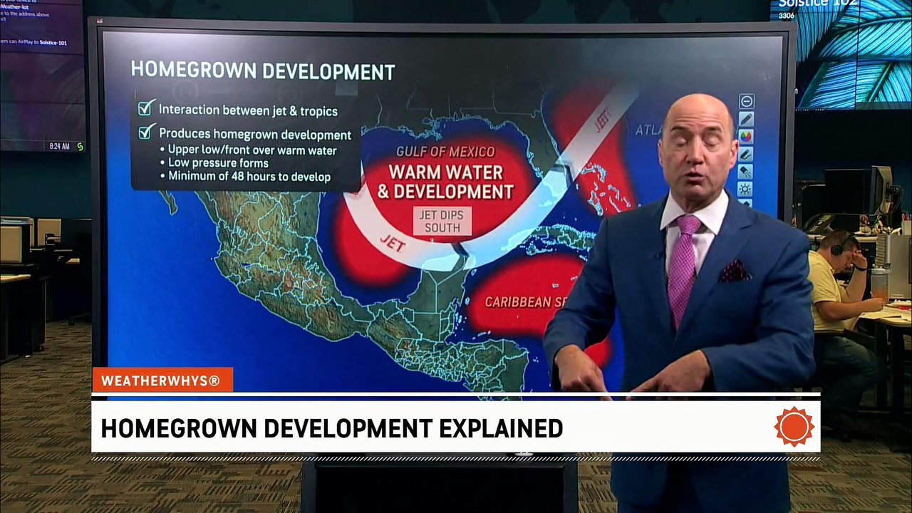 Homegrown development explained